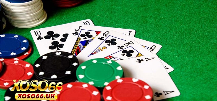 Chương trình đại lý của nhà cái mang đến mỗi quan hệ win - win