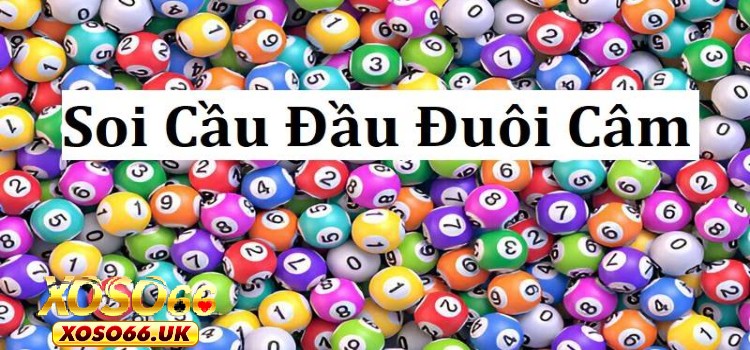 Lấy số đầu + đuôi làm căn cứ tiến hành soi KQXS trực tuyến xanh chín