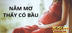 Nằm mơ thấy có bầu - Giải mã bí ẩn theo tình huống cùng XOSO66