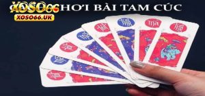 Bài Tam Cúc XOSO66 - Toàn Tập Bí Kíp Chơi Thắng Lớn