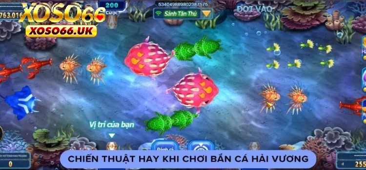 Bật mí 2 kinh nghiệm săn cá không bao giờ lỗi thời