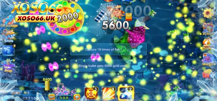 Điểm danh những phòng bắn cá vàng online