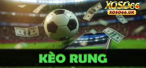 Hiểu Về Kèo Rung Và 4 Kinh Nghiệm Chiến Thắng Tại XOSO66