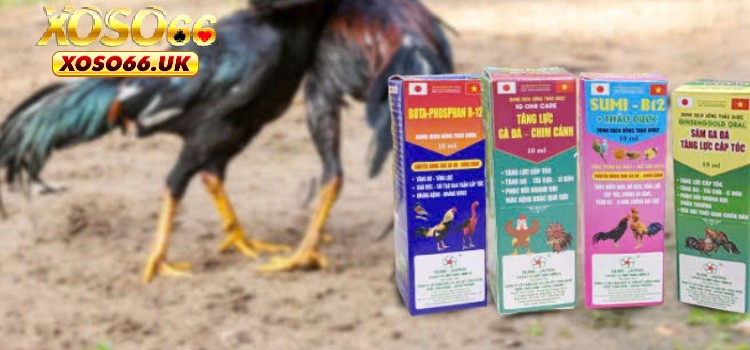 Vấn đề chăm sóc sức khỏe cho linh kê