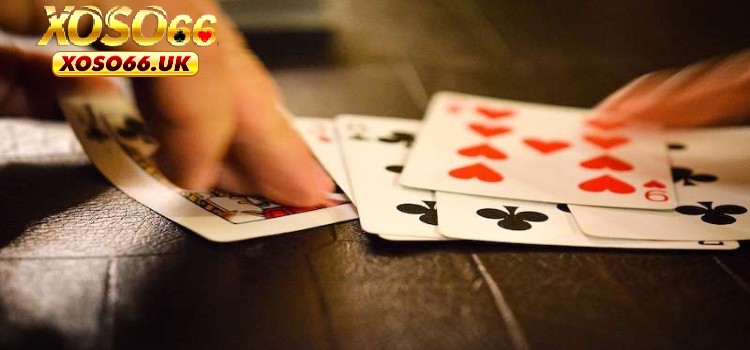 Quan sát bài đối phương để chớp lấy cơ hội và điều chỉnh chiến thuật hợp lý